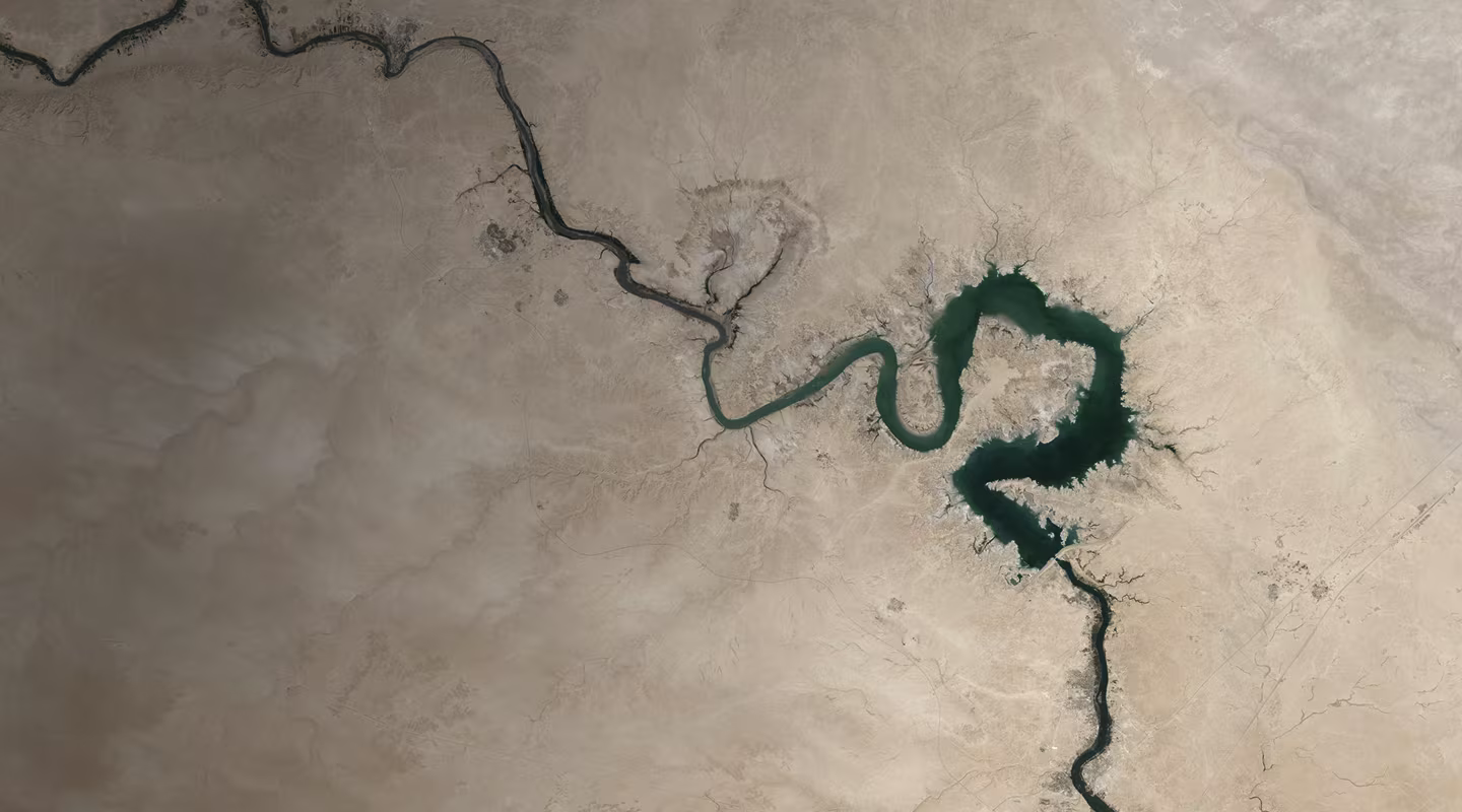 Protect Biodiversity Hotspots with Wetlands Intl.